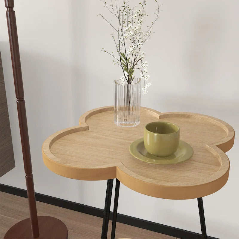 Table basse à double couche créative en forme de pétale, table d'appoint ronde avec espace de rangement multifonctionnel, pour salon